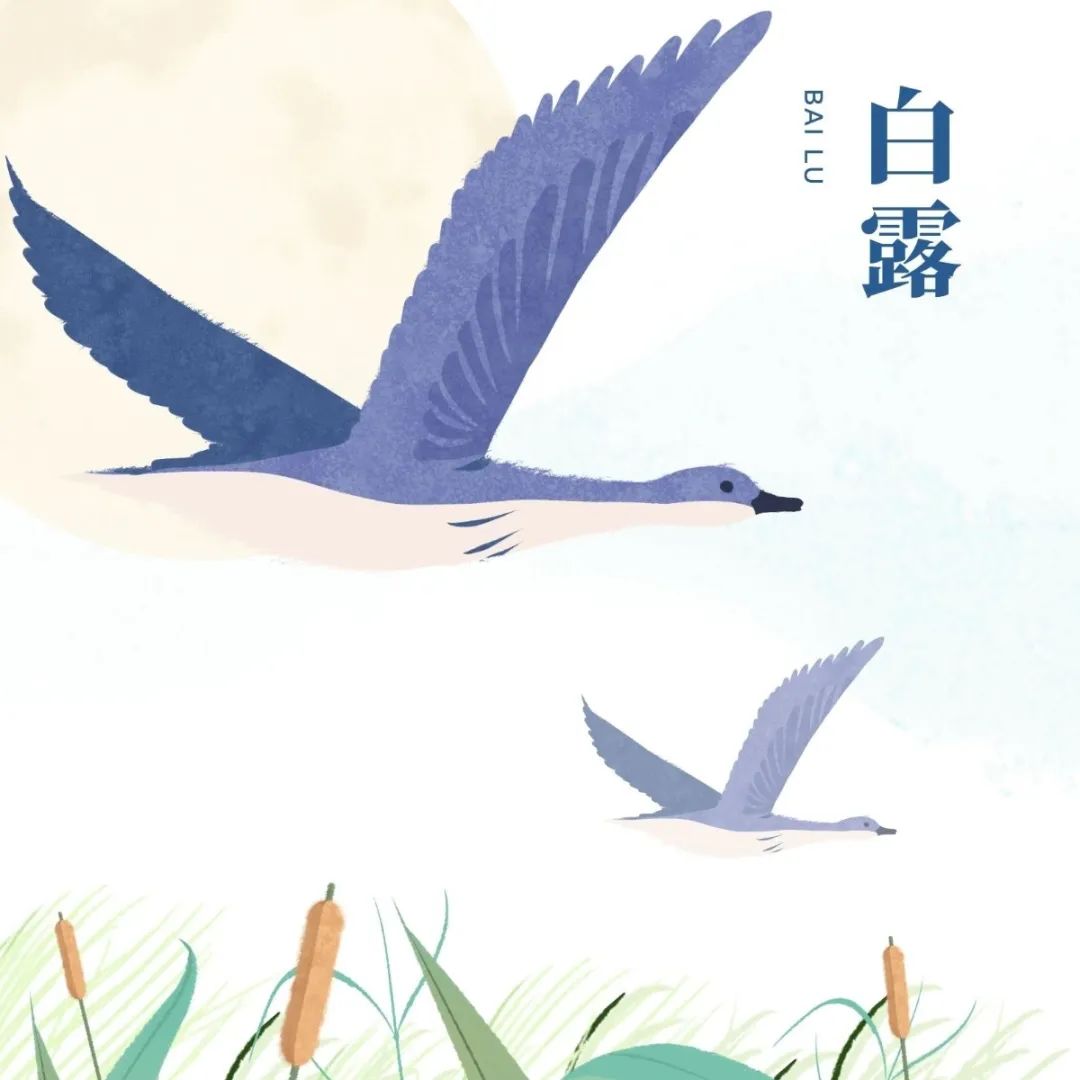 հ¶ | @ЩB(yng)Ҏ(gu)Ҫӛ!